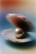 Pearl Mist Study